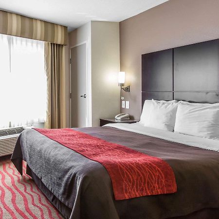 Comfort Inn Los Angeles Near Hollywood Luaran gambar